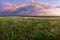 Spring landscape with rainbow