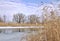 Spring landscape with a river melting from ice, water glades,dry reeds and trees on the opposite bank