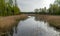 Spring landscape on the river, old reeds along the shore and the first greenery