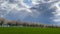 Spring landscape a road among blossoming cherry alley. Germany countryside