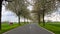 Spring landscape a road among blossoming cherry alley. Germany countryside