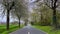 Spring landscape a road among blossoming cherry alley. Germany countryside