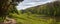 Spring landscape - road near the pine forest, next to a pond