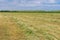 Spring landscape with rows of mown hay on a water-meadow