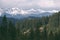 Spring landscape with snowbound mountains and spruce forest