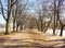 Spring landscape of St. Petersburg. Embankment of the river Bolshaya Nevka. Landmark of the city.