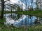 Spring landscape with tree silhouettes, green grass and a small pond, reflections of clouds and trees in the water