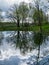 Spring landscape with tree silhouettes, green grass and a small pond, reflections of clouds and trees in the water