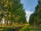 Spring landscape trees cloudy sky path grass green and blue color