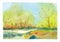 Spring landscape. Trees in the forest, birds flew watercolor illustration. Drawing on textured watercolor paper. Nature glade,