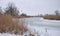 Spring landscape with trees, river melting from ice and dry reeds.Awakening of nature