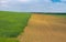 Spring landscape with wavy wheat field next to sunflower one