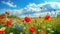 Spring landscape with wildflowers, cornflower, poppies and daisies among the grass, beautiful idyllic rural, countryside landscape