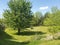 Spring Landscape in Wilmot Township