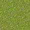 Spring Lawn with Some Flowers. Seamless Texture.