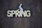 Spring, letters on wood background, dark background, easter bunny