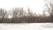 Spring March landscape, panorama - bare trees grow near a frozen river