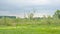 Spring marsh landscape in the Flemish countryside