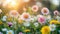 Spring Meadow Abloom: White & Pink Daisies and Yellow Dandelions on a Sunny Day