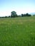 Spring meadow, Planinsko polje