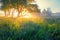 Spring meadow. Spring sunny landscape.