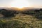 Spring Meadow Sunrise at Santa Susana Pass State Historic Park