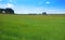 Spring meadows at Camino de Santiago