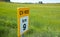 Spring meadows at Camino de Santiago