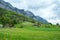 Spring meadows and fields landscape with cottage houses in Switzerland
