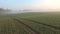 Spring misty morning farmland landscape