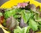 A Spring Mix of fresh organic greens in a yellow colander