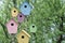 Spring mood. Multi Colored birdhouses