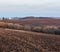 Spring morning arable and growth fields and countryside.