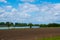 Spring morning in dutch dike landscape at the river Maas. Agricultural landscape