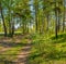 Spring morning on the lake. Russia. Leningrad region