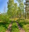 Spring morning on the lake. Russia. Leningrad region