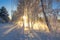 Spring morning landscape with fog and a forest, river, Russia, Ural