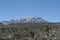 Spring Mountains, Nevada