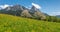 Spring in the mountains. Swiss Alps