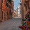 Spring in Murano Venezia venice italy sun colorful romantic trip