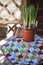 Spring narcissus and ceramic pots on fabric quilt on wooden table