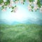 Spring natural background. Blossoming apple and young grass.