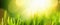 Spring Natural Background With Sun