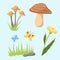 Spring natural floral symbols with blossom gardening tools beauty design and nature grass season branch springtime hand