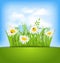 Spring nature background with camomiles, ladybugs, grass, blue s