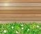 Spring nature background. Green grass and leaf plant, White Gerbera, Daisy flowers and sunlight over wood fence