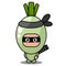 Spring ninja onion vegetable mascot costume