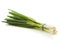 Spring onion