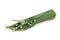 Spring onion,green shallot allium cepa isolated on white background