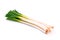 Spring onion isolated (scallions)